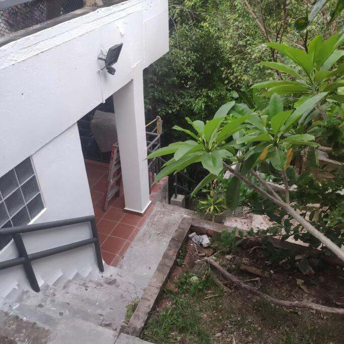 Kk Jungle Hideaway Lovely Apartment 5 Mins Walk To Town Kota Kinabalu Esterno foto